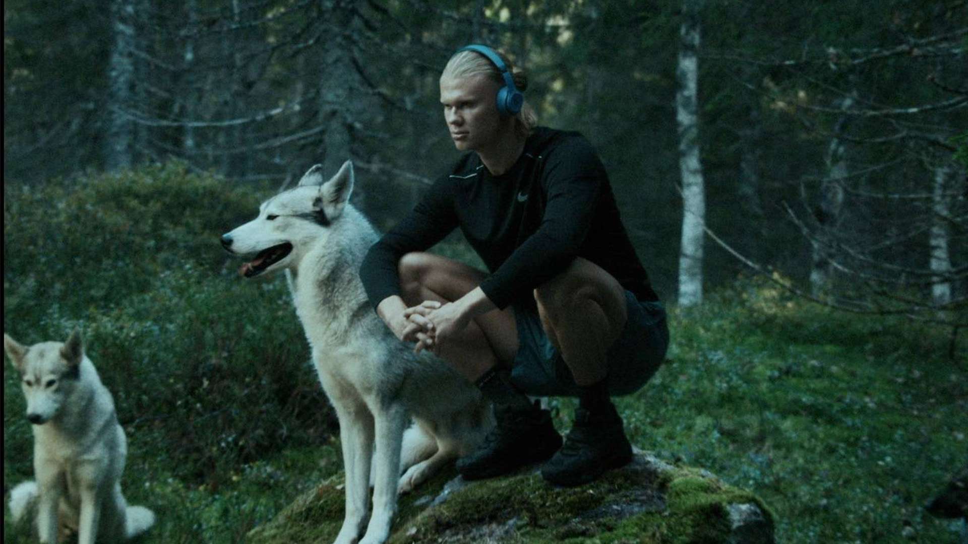 此机会思考 此机会思考